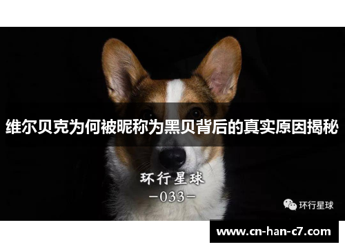 维尔贝克为何被昵称为黑贝背后的真实原因揭秘