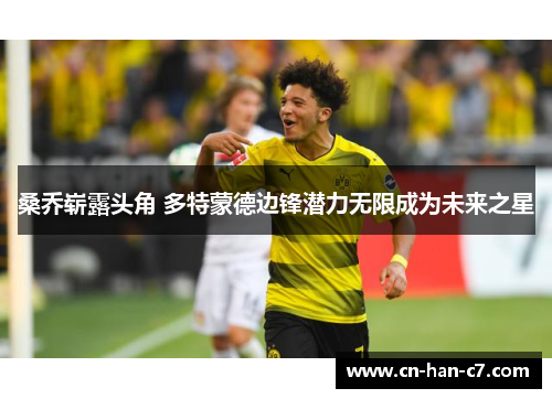 桑乔崭露头角 多特蒙德边锋潜力无限成为未来之星 桑乔崭露头角 多特蒙德边锋潜力无限成为未来之星