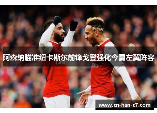 阿森纳瞄准纽卡斯尔前锋戈登强化今夏左翼阵容